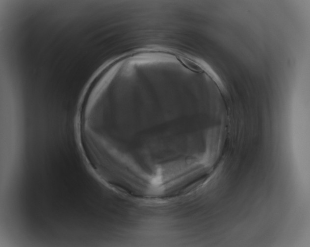 X0000100371100200806271439