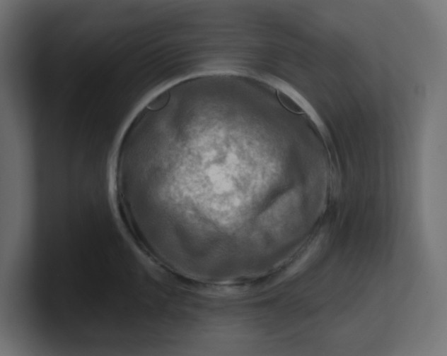 X0000100371101200806271439