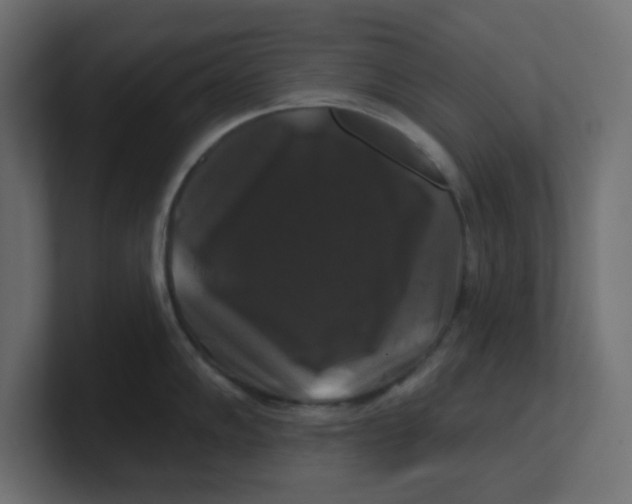 X0000100371102200806271439