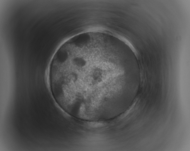 X0000100371103200806271439