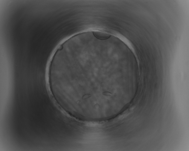 X0000100371104200806271439