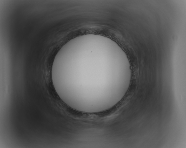 X0000100371109200806271438