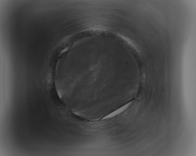 X0000100371110200806271438