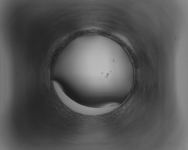 X0000100371111200806271438