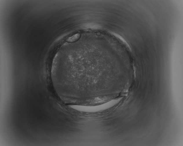 X0000100371112200806271438