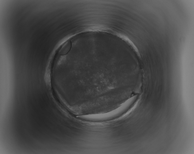 X0000100371114200806271438