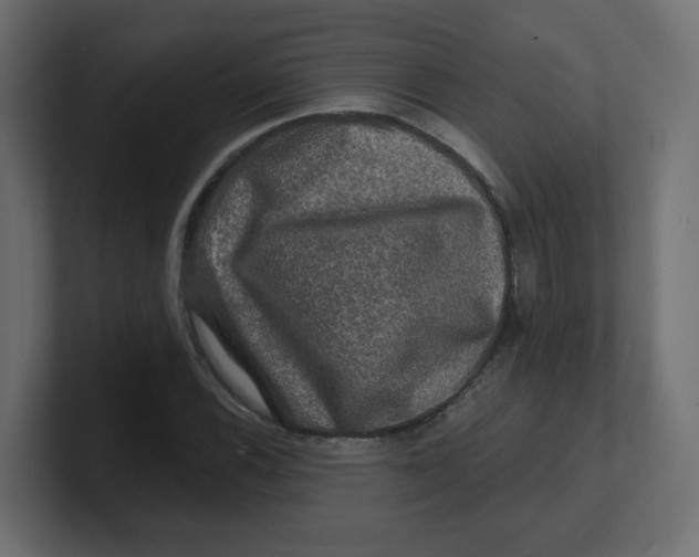 X0000100371116200806271438