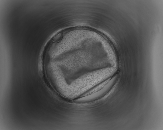 X0000100371118200806271438