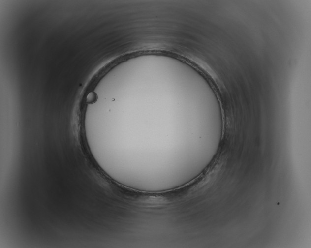 X0000100371119200806271438