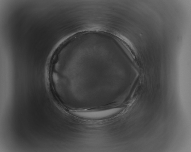 X0000100371120200806271438