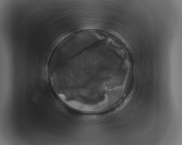 X0000100371121200806271438