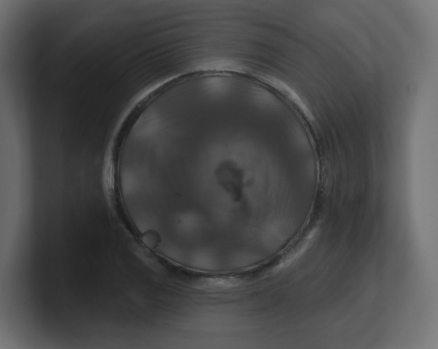 X0000100371125200806271438