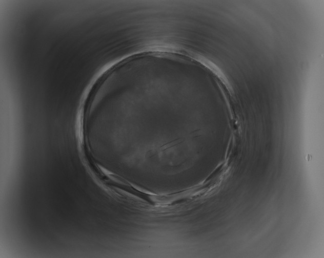 X0000100371128200806271439