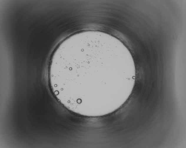 X0000100371130200806271439