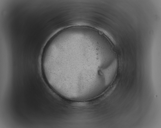 X0000100371134200806271439