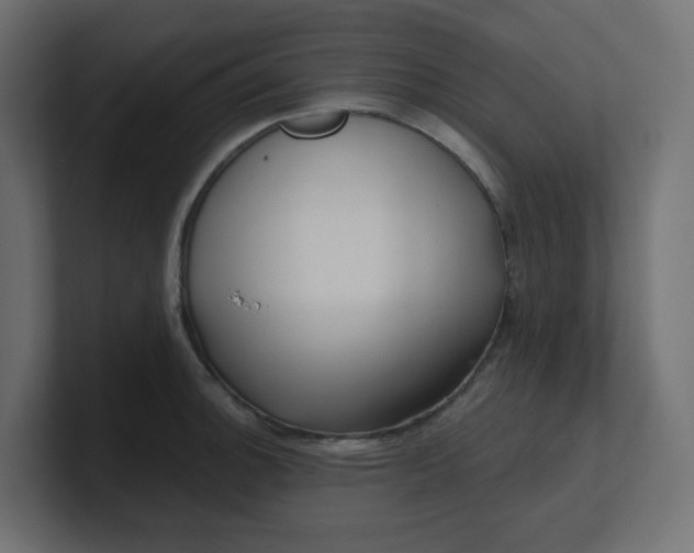 X0000100371140200806271439