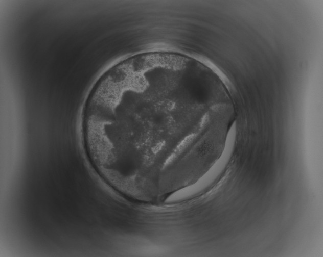 X0000100371142200806271439