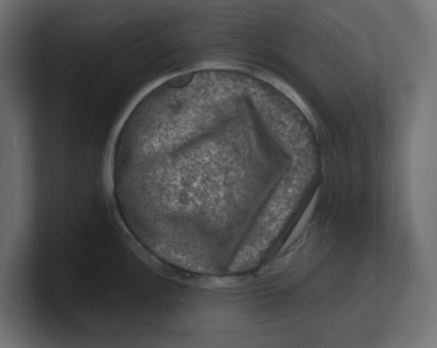 X0000100371148200806271439