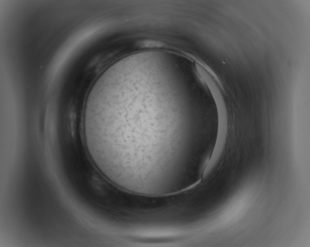 X0000100371151200806271439