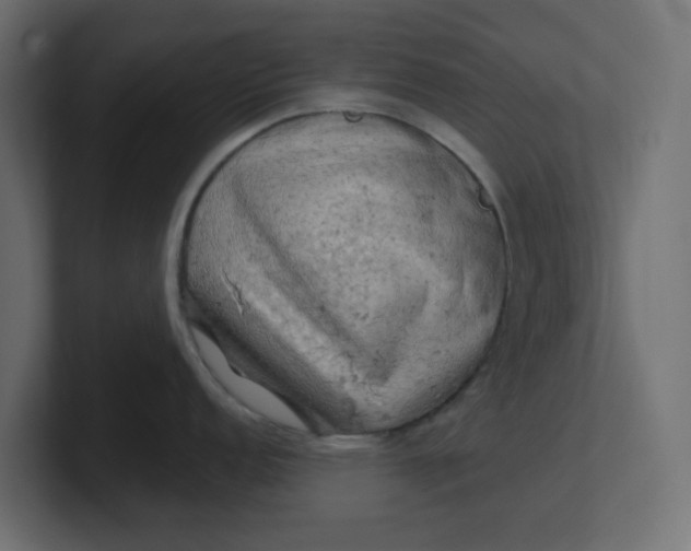 X0000100371152200806271439