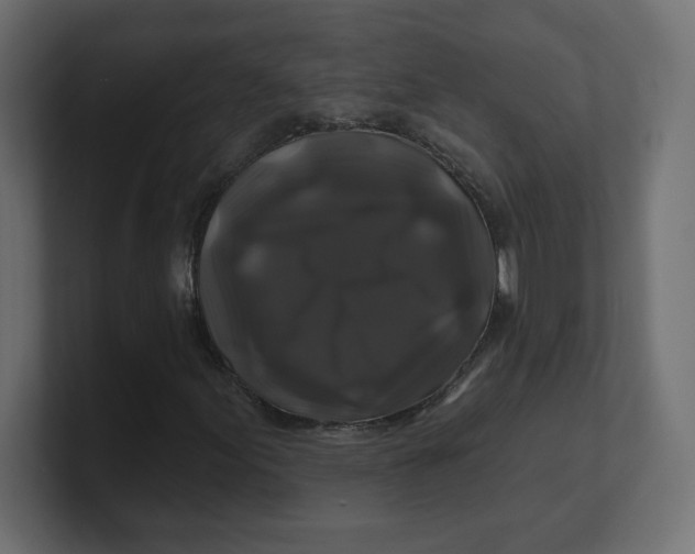 X0000100371155200806271438