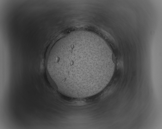 X0000100371156200806271438