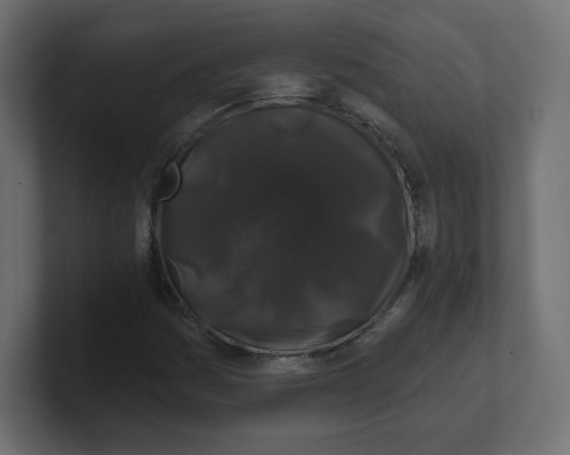 X0000100371161200806271438