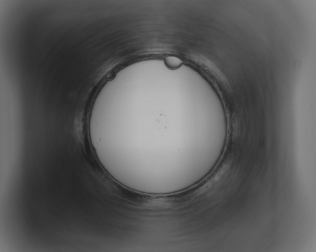 X0000100371162200806271438