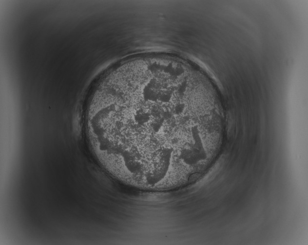 X0000100371163200806271438