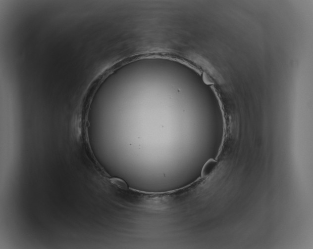 X0000100371165200806271438