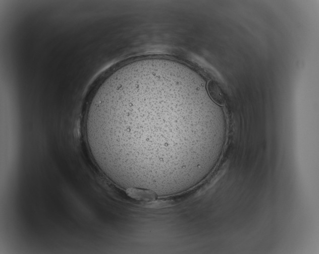 X0000100371166200806271438