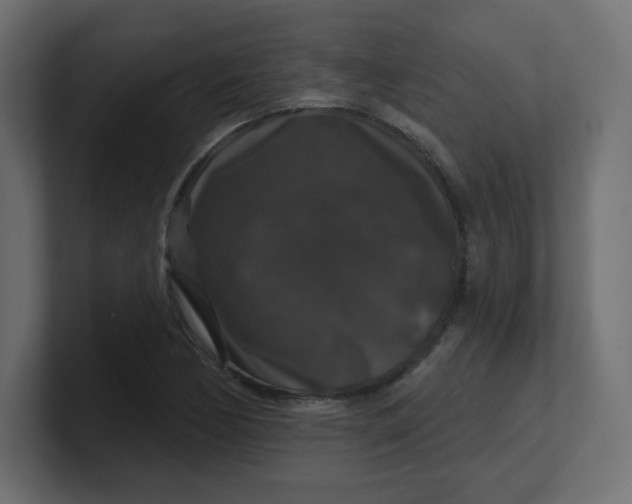 X0000100371170200806271438