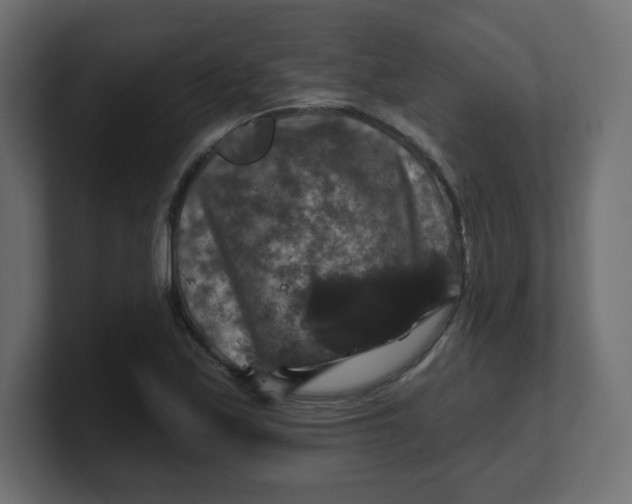 X0000100371171200806271438