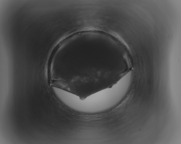 X0000100371173200806271438