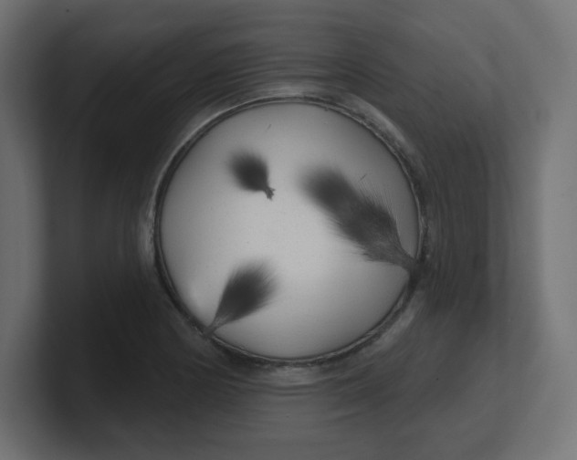 X0000100371178200806271438