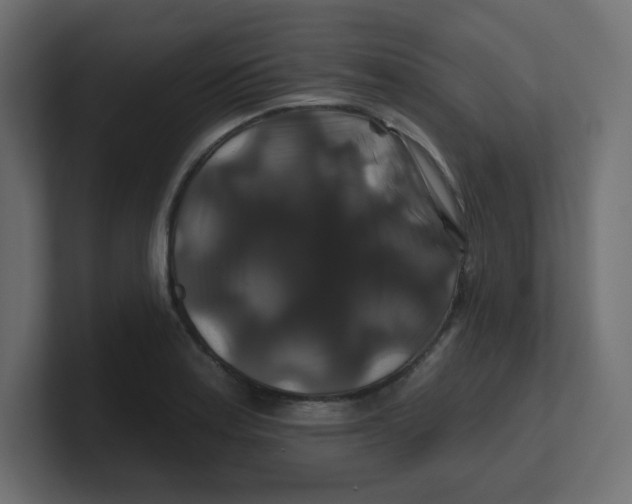 X0000100371179200806271438