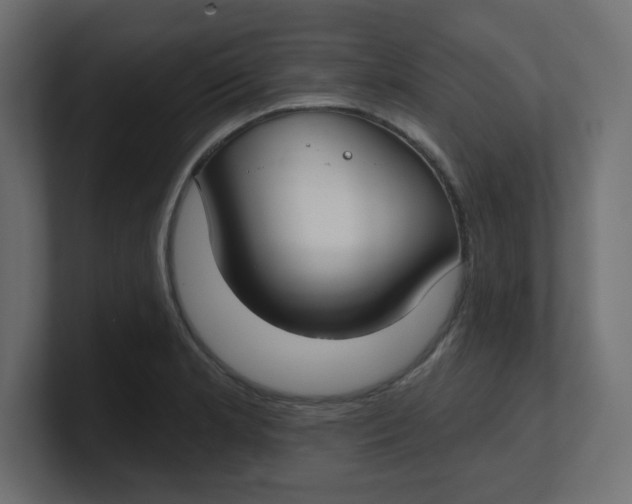 X0000100371181200806271438