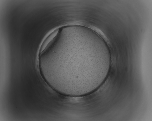 X0000100371184200806271438