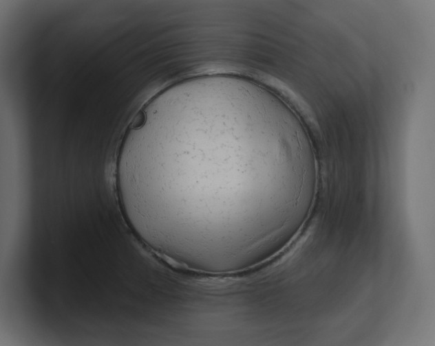 X0000100371185200806271438