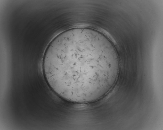 X0000100371186200806271438