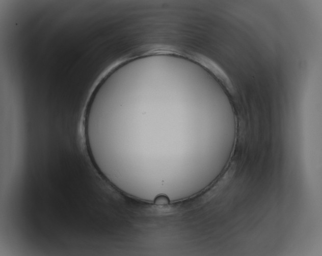 X0000100371190200806271438