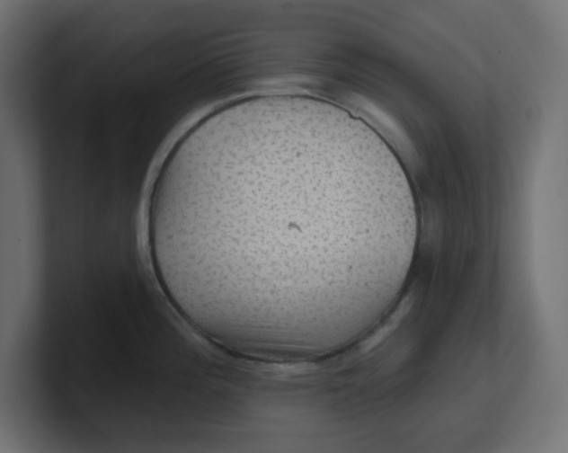 X0000100371196200806271438