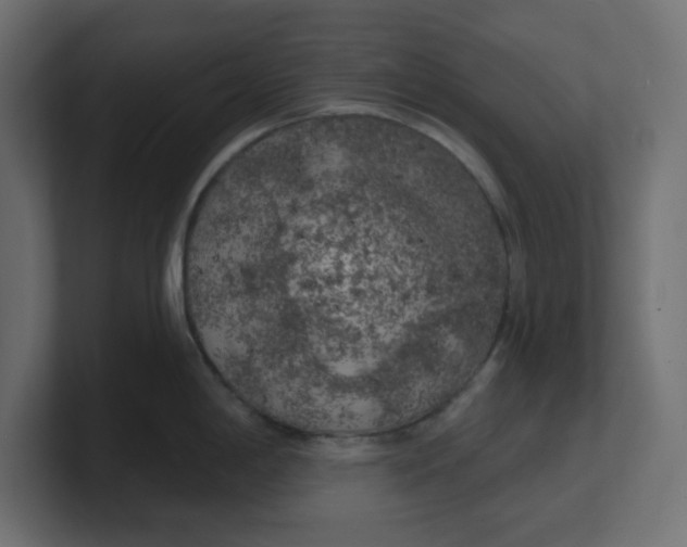 X0000100371198200806271438