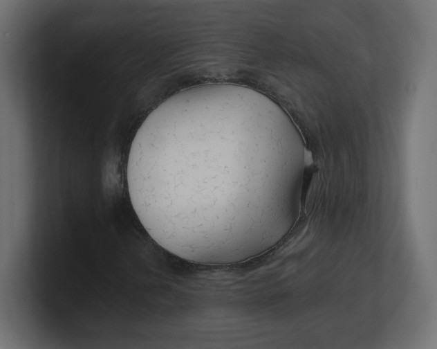 X0000100371202200806271437