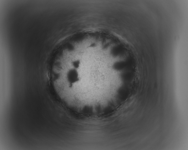 X0000100371206200806271437