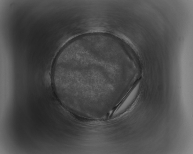 X0000100371212200806271437