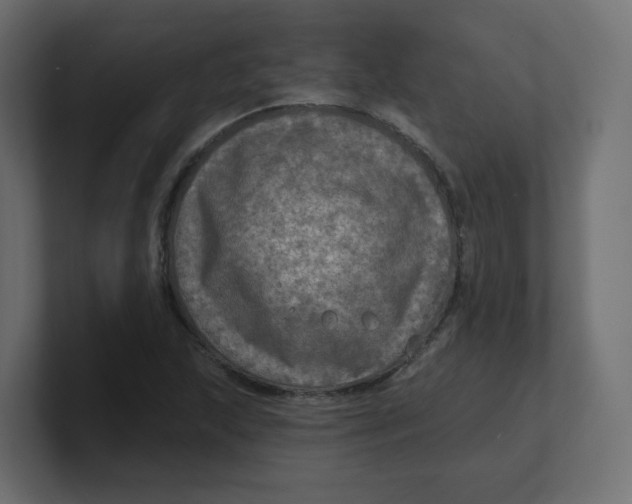 X0000100371215200806271437