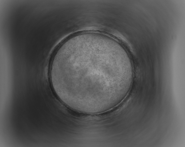 X0000100371216200806271437