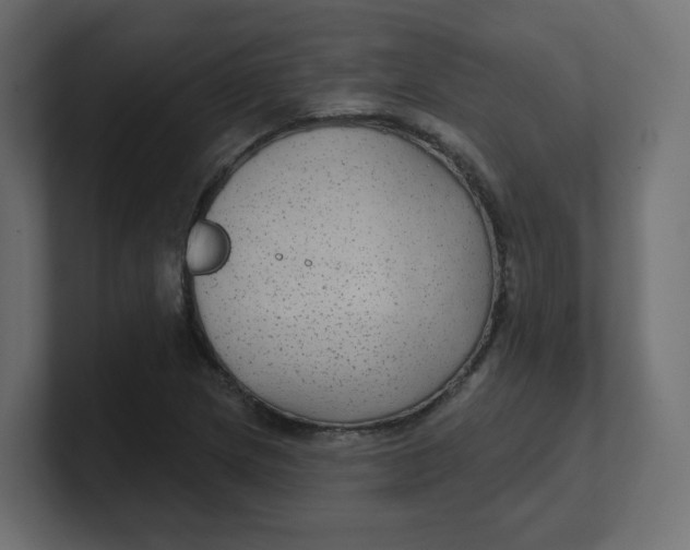 X0000100371217200806271437