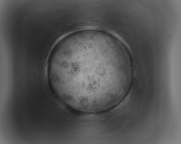 X0000100371222200806271437